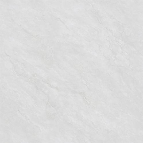HBL89BP016